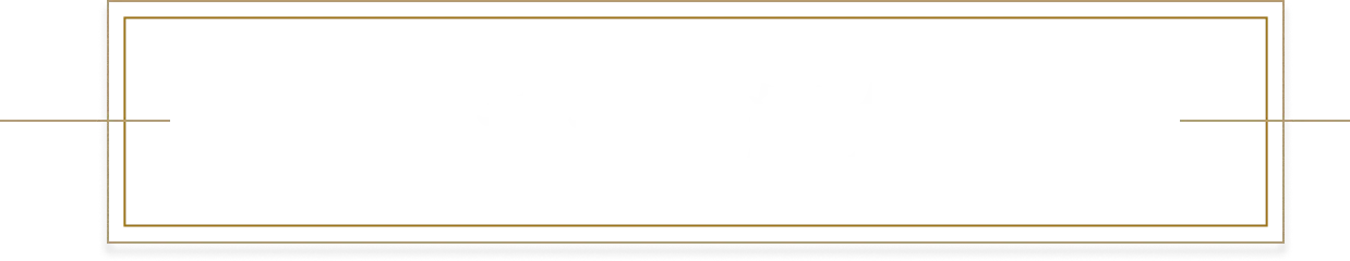 チーム紹介
